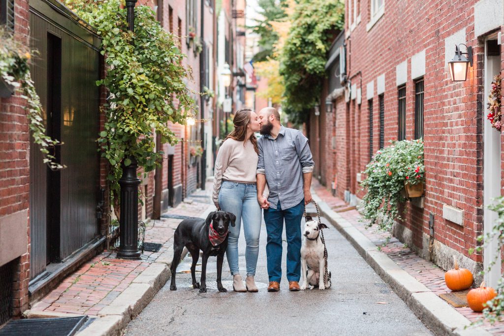 salem ma wedding, for the love of paws, how to include your pet in your wedding day