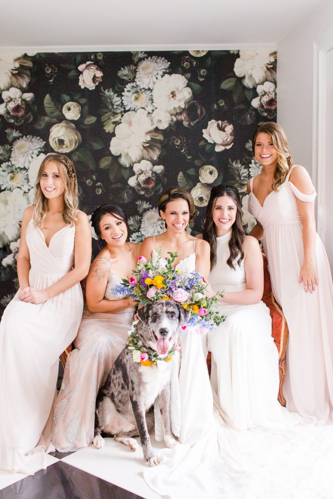 salem ma wedding, for the love of paws, how to include your pet in your wedding day