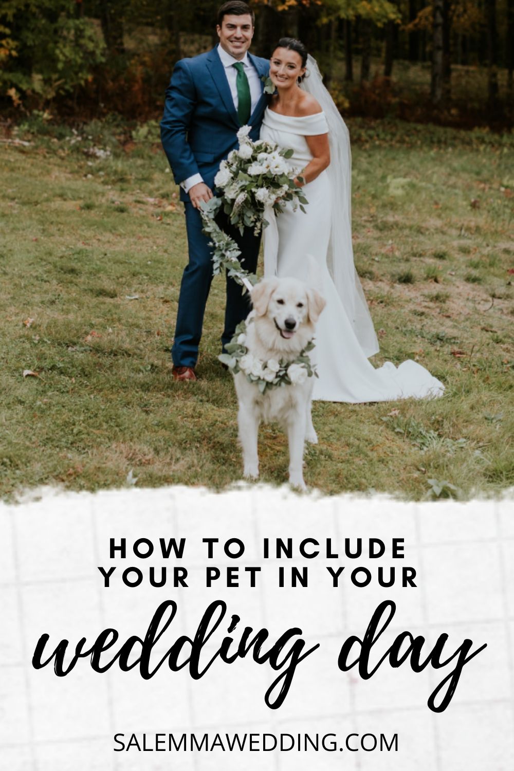 salem ma wedding, how to include your pet in your wedding day
